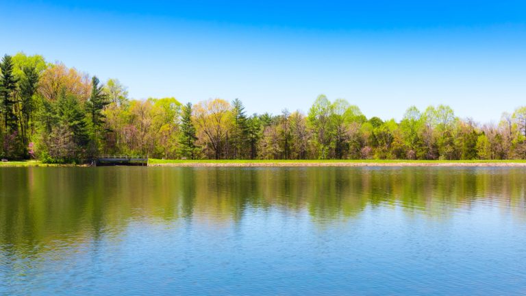 Lake with small bridge