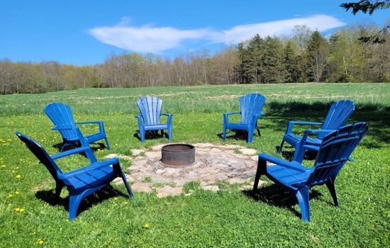 Family friendly cottage ☆walking distance to Lions Head beach