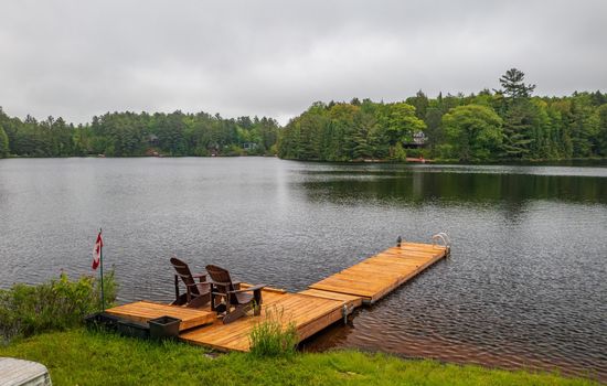 Bear Essentials Lakefront Hideaway