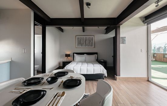 The Flamingo Rooftop Suite – Unique Design in a Centric Location