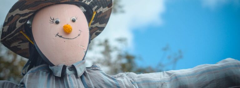 Scarecrow in a field with a blue sky background.